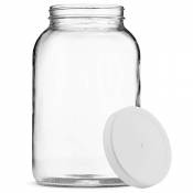 Bocal transparent Paksh Novelty de 3,8 litre - En verre