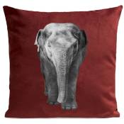 Coussin jungle elephant suédine rouge 40x40cm