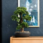 Furniture Limited - Mini bonsaï Ficus artificiel sur