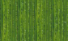 Papier peint Haie de Bambous - Vert - 10 m x 0,53 m