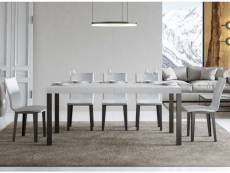 Table rectangulaire extensible 6 à 10 personnes l 160 à 264 cm blanc frêne et métal anthracite evy