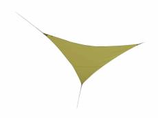 Voile d'ombrage triangulaire 5 x 5 x 5 m - vert anis