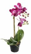 Artificielles - Orchidee 2 hampes en Pot h 40 cm Toucher