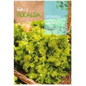 Lechuga Salad Bowl 6G - Rocalba