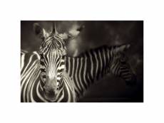 Tableau en verre acrylique zebra 90 x 60 cm