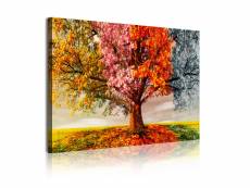 Dekoarte - impression sur toile moderne | décoration pour le salon ou chambre | paysage arbre quatre saisons | 120x80cm C0337