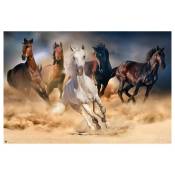 Lydsto - Poster cinq chevaux