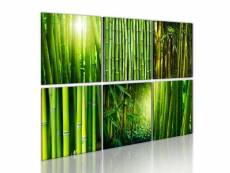 Tableau zen nombreux visages du bambou taille 60 x