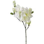Atmosphera - Tige de magnolia artificiel blanc H83cm