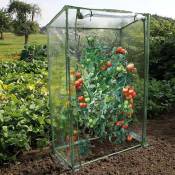 Inlife - Nature Serre à tomates avec fermeture éclair et attaches Serre de jardin pvc 100x50x150 cm