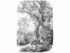 Papier peint panoramique jungle noir et blanc - 158945