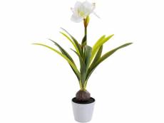 "plante décorative amaryllis blanche 78cm"