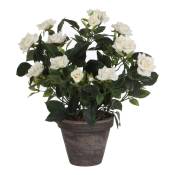Rosier plante artificielle blanches en pot H33