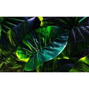 Hxadeco - Affiche feuilles tropicales, 60x40cm - made