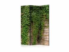 Paravent 3 volets - ivy wall [room dividers] A1-PARAVENTtc1391