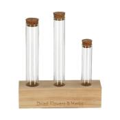 Esschert Design - Lot de 3 tubes à essai en verre