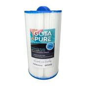 Gota Pure - Filtre spa GP2132 / PS25 compatible Peips Royal Duo