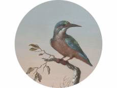 Papier peint panoramique rond adhésif martin-pêcheur sur branche rouge grisé clair - 158993 - ø 70 cm 158993