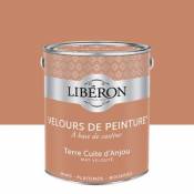 Peinture murs plafonds et boiseries Velours de peinture orange terre cuite d'anjou Liberon 2 5L