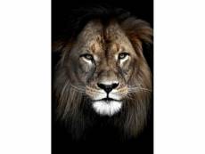 Tableau sur toile lion dans l'ombre 65x97 cm 632533