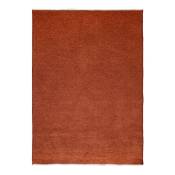 Tapis réversible terra cotta/rouge 120x170