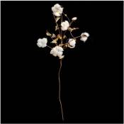 Feeric Christmas - Branche 6 Fleurs de Coton lumineuse 20 led Blanc chaud h 75 cm - Coton
