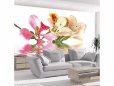 Papier peint intissé fleurs fleurs tropicales - arbre
