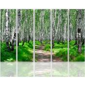 Tableau forêt de bouleaux 2 - 250 x 120 cm - Vert