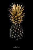 Toile ananas 45 x 65 cm noir et dorée