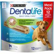 Friandise Dentalife pour chien Maxi ( 25 à 40kg) x