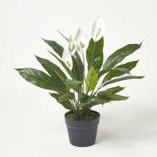Homescapes - Plante artificielle Arum en pot, 60 cm