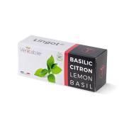 Lingot Basilic citron BIO - Recharge prête à l'emploi