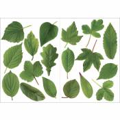 Sticker autocollant décoratif arbres verts, 2 feuilles réalistes, 21,9 cm x 29,7 cm, décoration intérieure murale - Vert