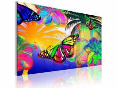 Tableau - papillons exotiques 60x40 cm