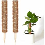2 Pièces Tuteur Plante Grimpante Extendable en Coco de 30cm