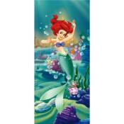 Poster porte Ariel Princesse Disney intisse 90X202