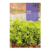 Rocalba - Ruda Ruda Bags Seeds 0,5 g