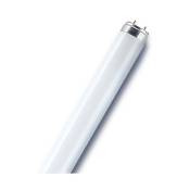 OSRAM Tube fluorescent droit T8 opaque 950 Lm 70 W