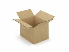5 cartons d'emballage 25 x 25 x 20 cm - double cannelure CAD02B-5
