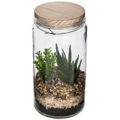 Atmosphera - Terrarium avec plante artificielle - pot en verre et couvercle en bois - H22 cm créateur d'intérieur - Modèle 1