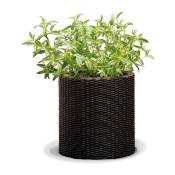 Iperbriko - Vase Porte-plantes Cylindrique 27,6x27,6x28,3h