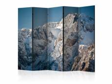 Paris prix - paravent 5 volets "winter in the alps" 172x225cm