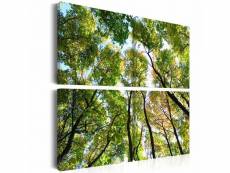 Tableau treetops taille 90 x 90 cm PD10020-90-90