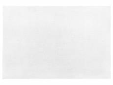 Tapis blanc 200 x 300 cm demre 67599