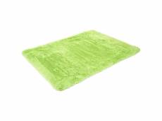 Tapis hwc-f69, shaggy tapis à poils longs, tissu/textile doux et moelleux 200x140cm ~ vert clair