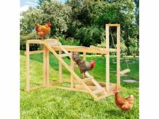 Aire de jeux en bois xxl pour poules avec balançoire perchoir échelle bain de poussière