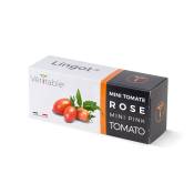 Lingot Mini tomate rose - Recharge prête à l'emploi