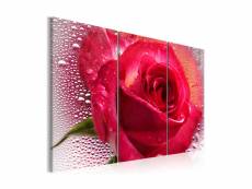 Tableau - lady rose - triptych-90x60 A1-N2251-DK