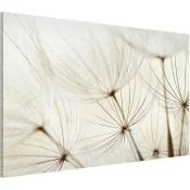 Tableau magnétique - Gentle Grasses - Format paysage