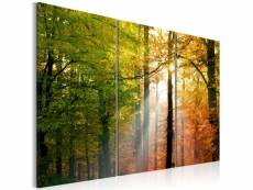 Tableau sur toile en 3 panneaux décoration murale image imprimée cadre en bois à suspendre forêt d'automne 60x40 cm 11_0006099